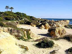 Beach of Albufeira Algarve Portugal