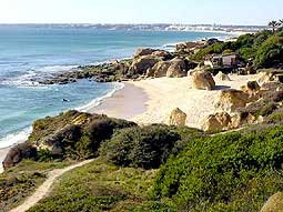 Beach of Albufeira Algarve Portugal