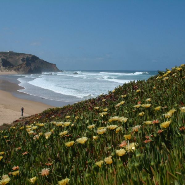 Beaches at the Algarve