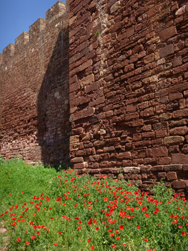 Wahrzeichen der Stadt Silves und eines der bedeutendsten Bauwerke der gesamten Algarve ist die Burg (castelo) Wahrzeichen der Stadt Silves und eines der bedeutendsten Bauwerke der gesamten Algarve ist die Burg (castelo)