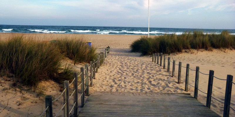 Strand Meia Praia in Lagos an der Algarve in Portugal