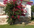 Villa Fillmare - H1