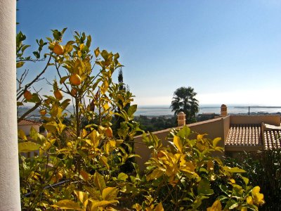 Casa Meu Paraiso