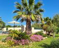 Villa Alegres_Pool_04