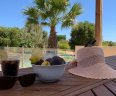 Villa Alegres_Pool
