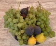 Villa Alegres_Garten