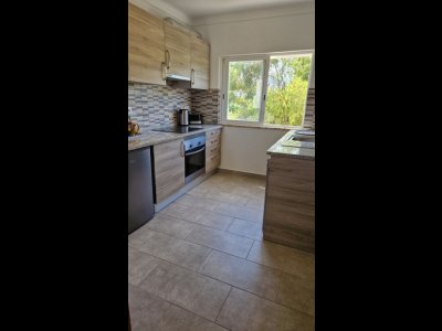 hl-29848382513