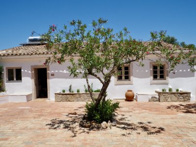 Terra front(1)