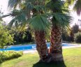 Villa Fillmare - H1