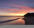 Salema