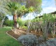 Villa Pinheiro 71_Garten