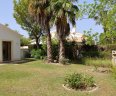 AlmaVerde-Villa-115-garden