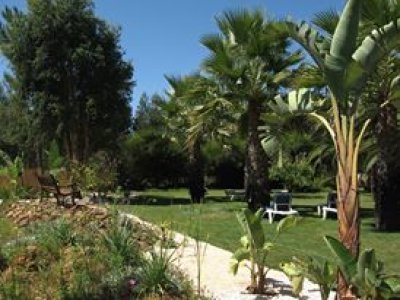 Apartment Casa Palmeira