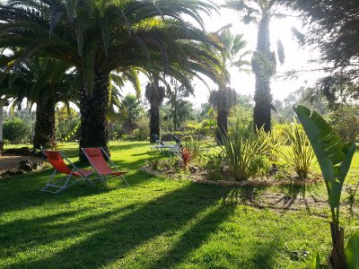 Apartment Casa Azulejos