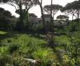 Villa Serena
