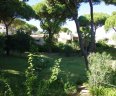 Villa Serena