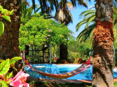 Apartment Casa Pinheiro