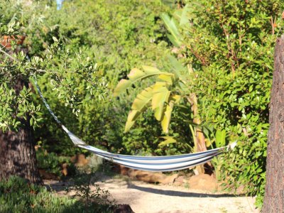 Apartment Casa Pinheiro